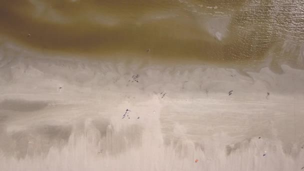 バルト海海岸ビーチ パルヌ エストニア空中ドローン平面図 Uhd ビデオ — ストック動画