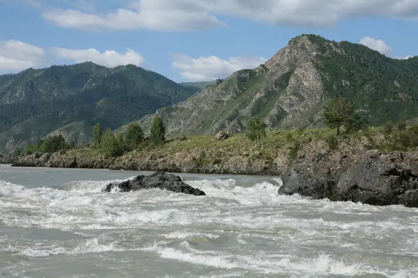 Altaï Région Russie Paysages Montagne — Photo