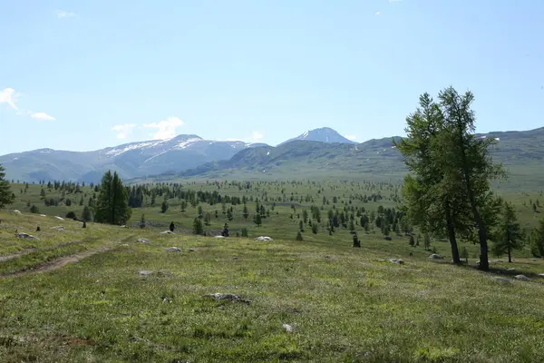 Altaj Regio Rusland Berglandschappen — Stockfoto