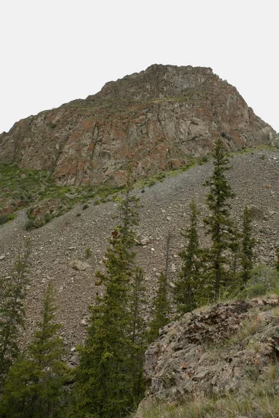 Región Altai Rusia Paisajes Montaña — Foto de Stock