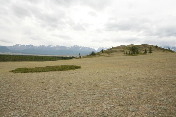 Altai Region Ryssland Bergslandskap — Stockfoto