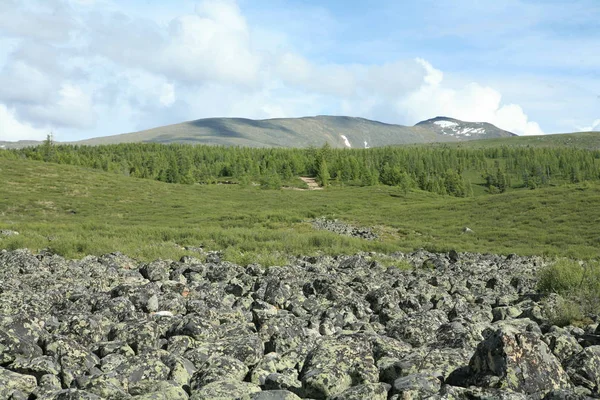 Altay Bölgesi Rusya Dağ Manzaraları — Stok fotoğraf