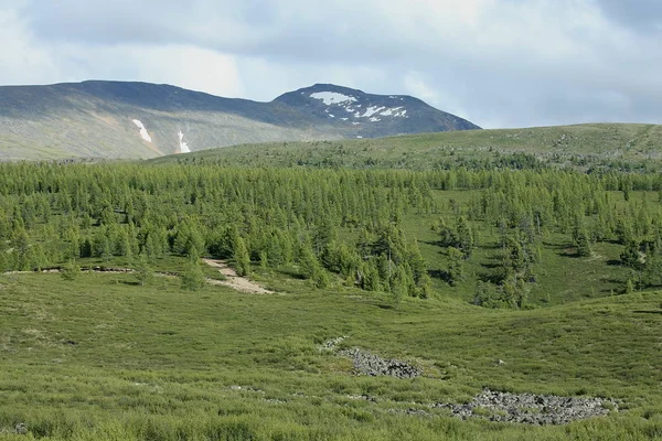 Altai Region Ryssland Bergslandskap — Stockfoto