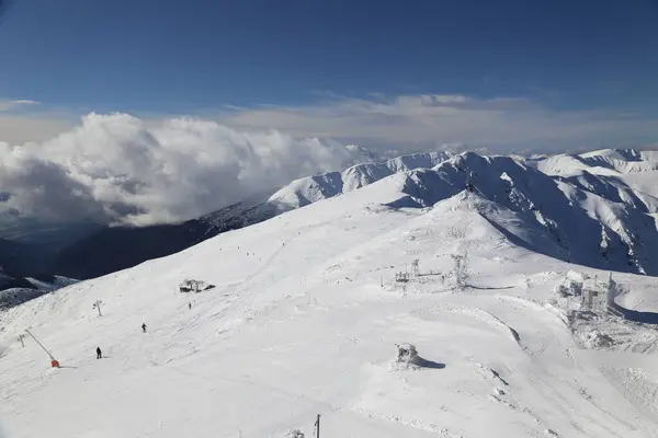 Snö Berg Ski Jasna Slovakien Tatra Landskap — Stockfoto