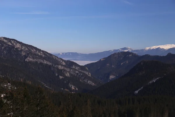 Schnee Berge Ski Jasna Slowakei Tatra Landschaften — Stockfoto