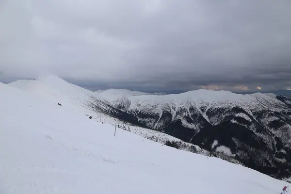 Snö Berg Ski Jasna Slovakien Tatra Landskap — Stockfoto