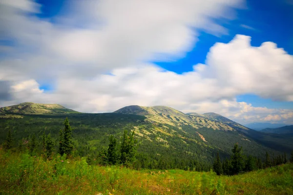 Naturaleza Salvaje Montaña Sheregesh —  Fotos de Stock