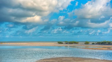 Gökyüzü bulutlu Haliç sularında yansıtıyordu. Güneşli havalarda.