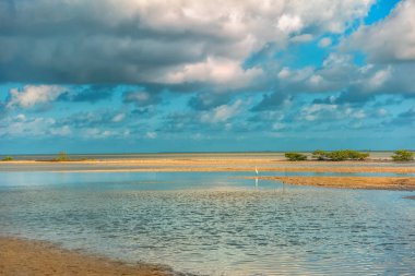 Gökyüzü bulutlu Haliç sularında yansıtıyordu. Güneşli havalarda.