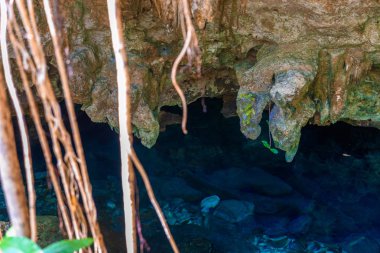 Hipotermik Dos Ojos ile berrak mavi su Mağarası