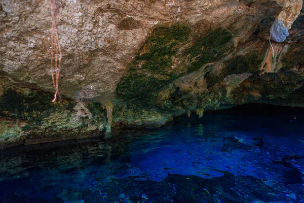 Cenote Dos Ojos Con Agua Azul Clara Cueva — Foto de Stock