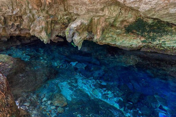 Hipotermik Dos Ojos ile berrak mavi su Mağarası