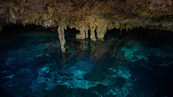 澄んだ青い水とセノーテ ドス オホス — ストック写真