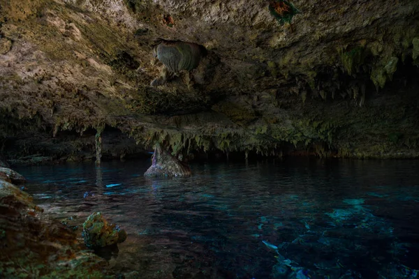 Cenote / Dos Ojos met helder blauw water — Stockfoto