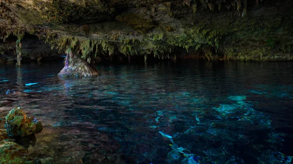 Cenote / Dos Ojos met helder blauw water — Stockfoto