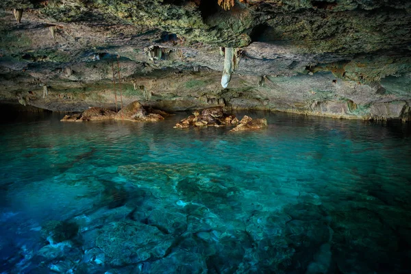 Cenote Dos Ojos z jasny niebieski wody — Zdjęcie stockowe