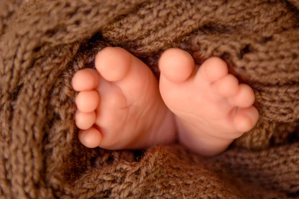 Beautiful little heels of a newborn baby wrapped in a brown knitted piece of cloth — Stock Photo, Image
