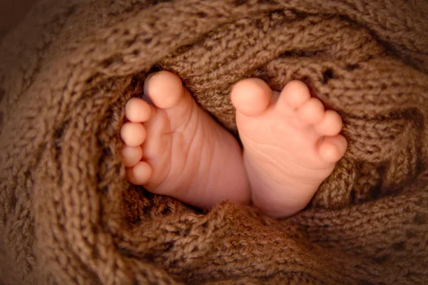 Красивые маленькие каблуки новорожденного ребенка, завернутого в коричневый вязаный кусок ткани — стоковое фото