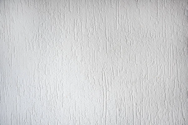 Plaster wall with abstract texture bark beetle — Stock Image Plaster wall with abstract texture bark beetle Stock Picture
