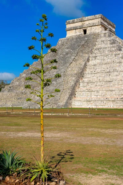 Ruínas da antiga civilização maia em Chichen Itza. México . — Fotografia de Stock