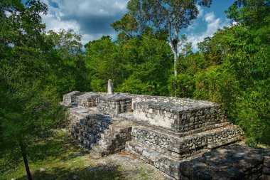 Calakmul şehrinin kalıntıları. Maya Piramidi.