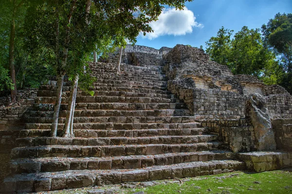 Calakmul şehrinin kalıntıları. Maya Piramidi.