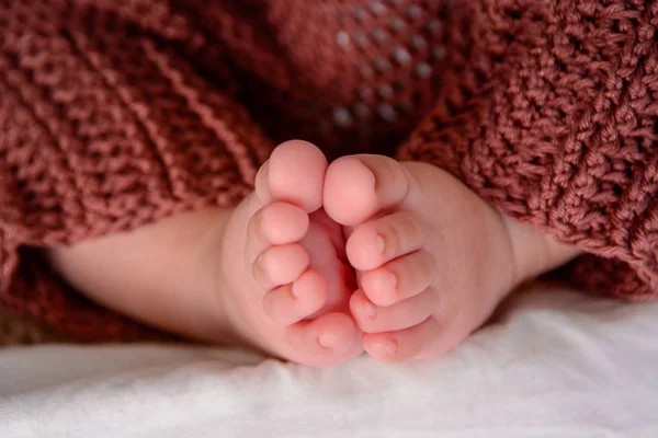 Photo of newborn baby feet, soft focus. — Stock Photo, Image