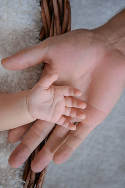 新生児の足と両親の手 — ストック写真