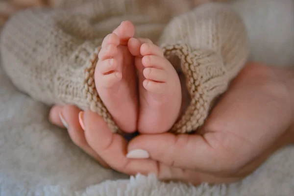 Newborn baby feet and hands of parents — Stock Photo, Image