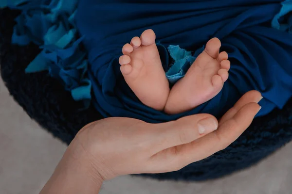 Neugeborenes Baby Füße und Hände der Eltern — Stockfoto