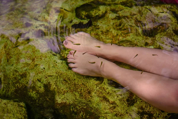 Women's feet in the water with fish. — Stock Photo, Image
