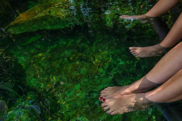 Womens fötter i vattnet med fisk. — Stockfoto