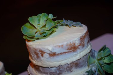 Masada iki kutlama pastası. Gece sahnesi.