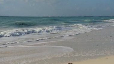 Beyaz kum ve kayaların kıyı şeridi. Karayip denizi.