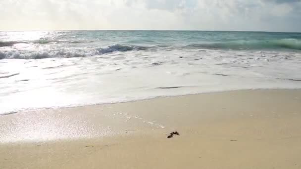 Kusten Vit Sand Och Klippor Karibiska Havet — Stockvideo