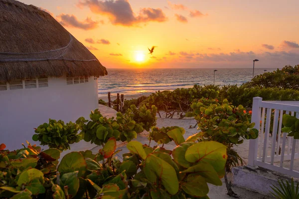 Alba Sul Mar Dei Caraibi Cielo Limpido Con Piccole Nuvole — Foto Stock