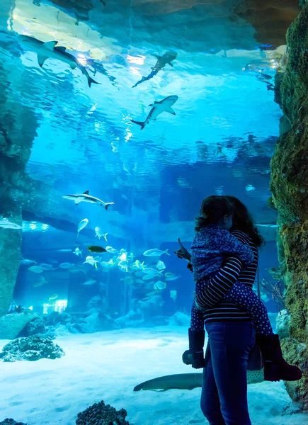 年轻妇女与孩子在水族馆观看鱼 人们参观了大型水族馆 家庭看鲨鱼在美丽的蓝色水族馆 — 图库照片