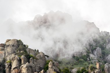 Demerdji dağın akşam sis, Crimea içinde. Güzel manzara, sisli bir dağ. Yaz aylarında tuhaf sisli taş toplayan. Sarp kayalıklardan garip hafif sis. Bulutlu Dağları'nın peyzaj.