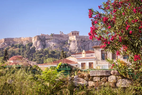 ギリシャ アテネ アクロポリスを望む花と古代ギリシャの遺跡 有名なアクロポリスはアテネの主要観光アトラクションです 夏でアテネの中心部の景色の美しいパノラマ — ストック写真