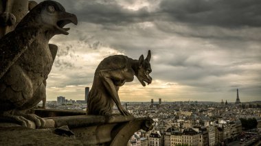 Gargoyles veya chimeras Paris, Fransa, bakan Notre Dame de Paris Katedrali üzerinde. Gargoyles Paris'te ünlü Gotik simge vardır. Vintage iblis heykelleri ile Paris dramatik manzarası.