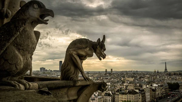 Gargoyles Chimeras Cathedral Notre Dame Paris Overlooking Paris France Gargoyles — Stock Photo, Image