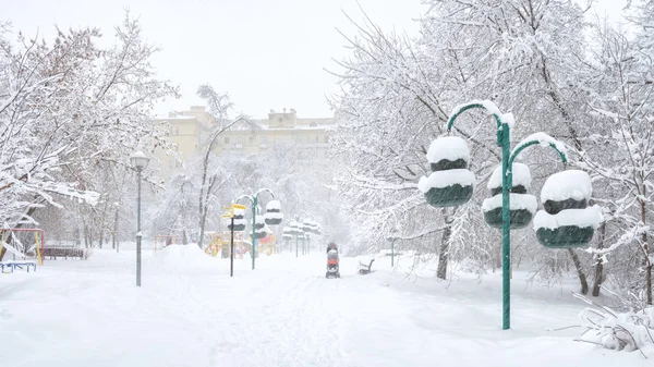 Panoramisch Zicht Een Besneeuwde Stadspark Winter Moskou Rusland Vrouw Met — Stockfoto