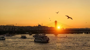 Gün batımında, Istanbul, Türkiye'de Haliç. Bosphorus gemi yelken yolcu. Martılar Istanbul gece karanlığında uçuyor. Panoramik Istanbul akşam güneş ışığı altında. Alacakaranlık romantik cruise Istanbul'da.