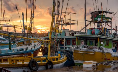 Balıkçı tekneleri gün batımında, Sri Lanka'ya demirledi