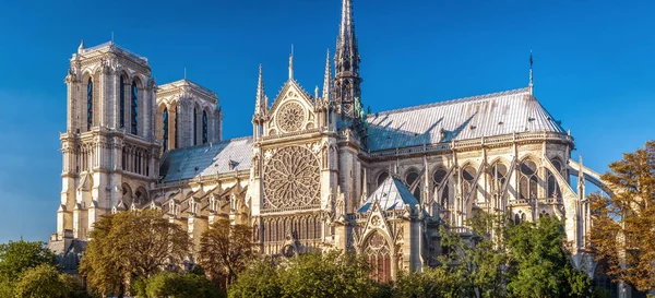 Vista panorámica de Notre Dame de Paris, Francia — Foto de Stock