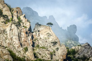 Mountain landscape of Crimea. Scenic view of misty mountain ranges of the Valley of Ghost. Scenery of rocks with lone pine tree on top in summer. Beautiful nature of the South coast of Crimea. clipart