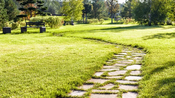 Paisaje con pintoresco sendero sinuoso a la luz del sol —  Fotos de Stock