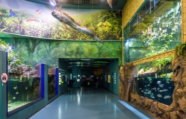 VDNKh Park, Moskova, Rusya 'da modern büyük akvaryum