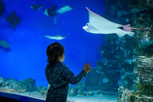 宝宝在美丽的蓝色水族馆里看着黄鱼 — 图库照片