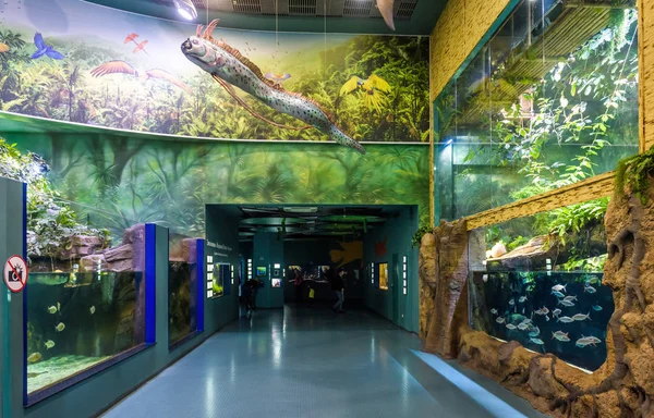 VDNKh Park, Moskova, Rusya 'da modern büyük akvaryum